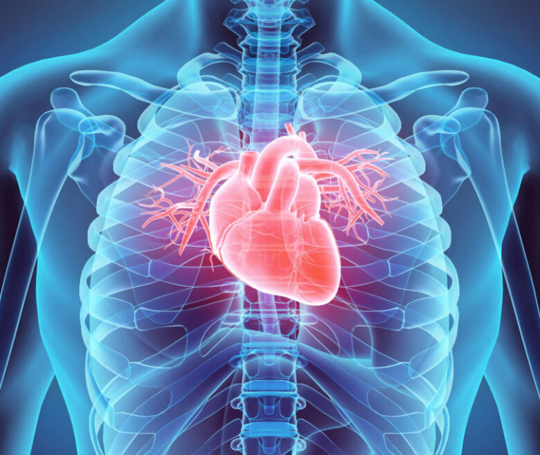CARDIAC PROFILE 780x658