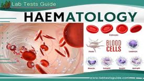 Hematological Lab Tests at Sri Divya Diagnostics